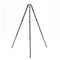 BENRO TREPIED TMTH33C MAMMOTH SERIE 3 CARBON 3