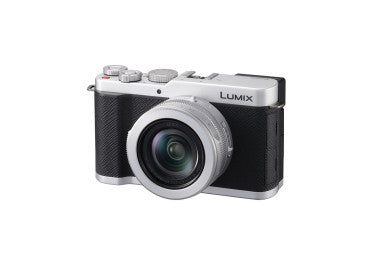 PANASONIC LUMIX DC-L10 Silver