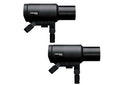 PROFOTO PRO-D3 1250 DUO KIT